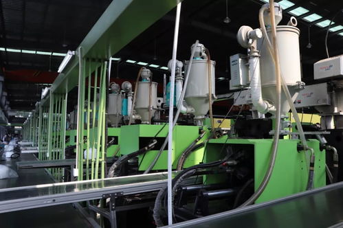 臨浦 從“跟跑”到“領跑”，科技創新為日用百貨產業插上騰飛之翼